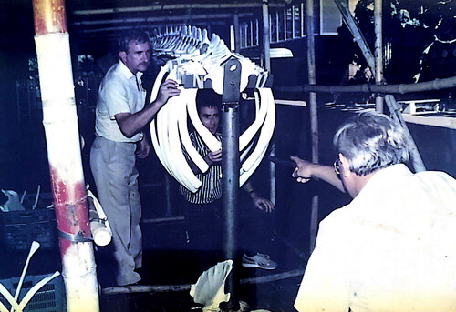 After years housed indoors at HKU campus, academics from various departments worked to rebuild the skeleton and take it back to the sea.